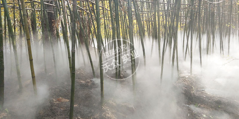 马陵山二期瑶池仙境雾森项目